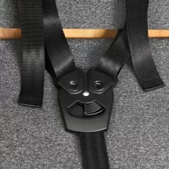 Bergamont Kids Bench Kinder Sitzbank Inkl. Gurtsystem Für E-Cargoville LJ Schwarz -Fahrräder Verkäufe 279502B