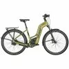 Bergamont E-Horizon Premium Pro Belt Amsterdam Unisex Pedelec E-Bike Trekking Fahrrad Goldfarben 2022 -Fahrräder Verkäufe 286734