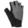 Scott Aspect Fahrrad Handschuhe Kurz Schwarz 2023