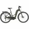 Bergamont E-Horizon Edition 5 Amsterdam Unisex Pedelec E-Bike Trekking Fahrrad Grün 2023