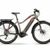 Haibike Sduro Trekking 4.0 Damen Pedelec E-Bike Fahrrad Sandfarben/rot 2020 -Fahrräder Verkäufe 7a97eb0e d22c 4f7f a939 9e11f48c78e5