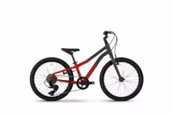Winora Rage 20'' Kinder Fahrrad Grau/rot 2023