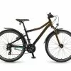 Winora Rage 26'' Kinder Fahrrad Schwarz/bronzefarben 2023
